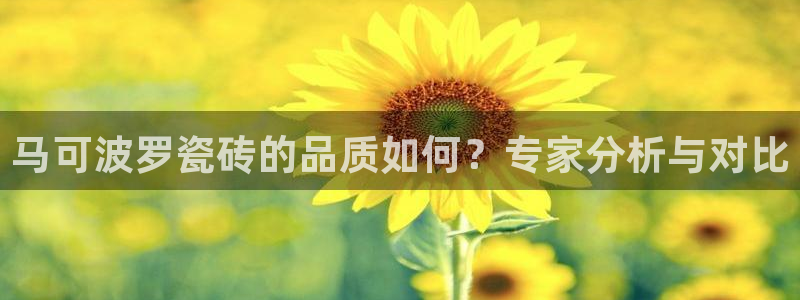 澳门和记电讯官网