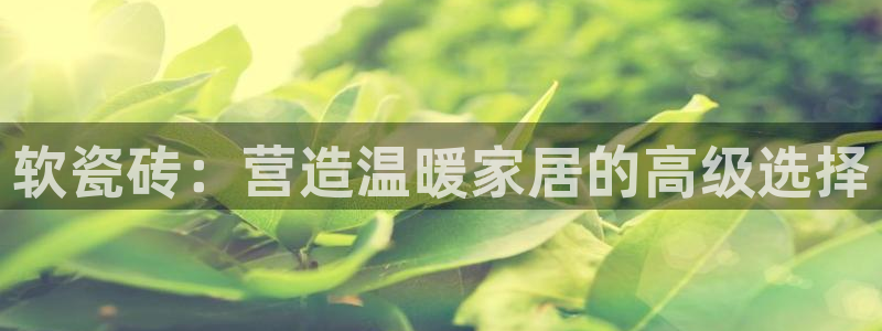 缅甸和记官网